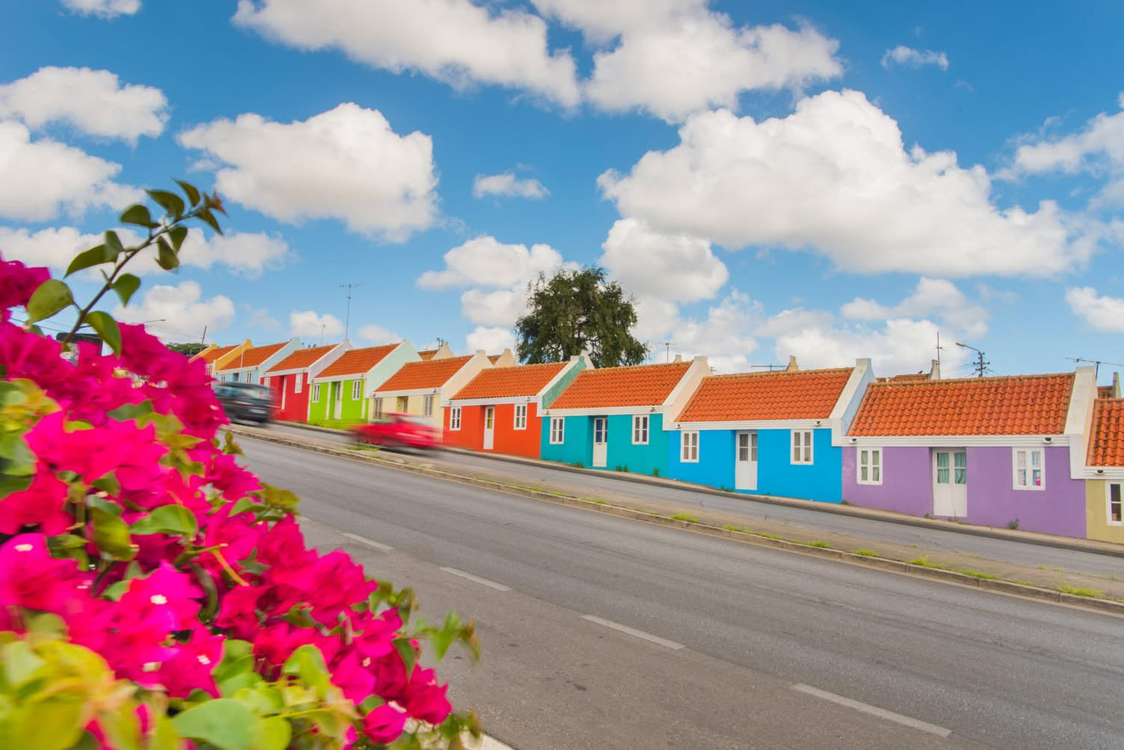 A row of small colourful houses on an ordinary Curaçao street